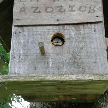 La Grange Aux Oiseaux *