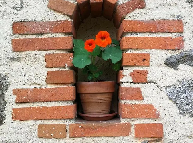 La Grange Aux Oiseaux